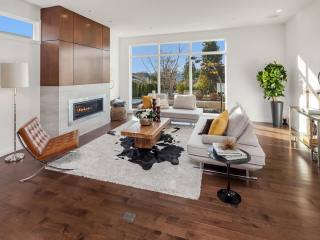 Living room fireplace